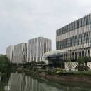 [항주 어학연수] 절강대 즈진강 서문 에어비앤비, 일주일 동거 일기, 절강대 란마 신청, 핵산검사 (feat...