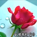 Holiday - Scorpions 이미지