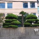 해운대관광안내소 이미지