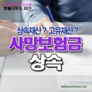 상속연금형 즉시연금보험 이미지