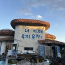 자유로운 사색가 이미지