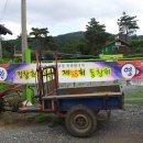 평창초 이미지