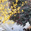 GS25전남대학교 이미지