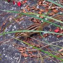 고요산책 | 다들 어떻게 지내세요 / 어쩔수가없다 관람 후기 / 아침고요수목원 / 산책 플리 추천해주께