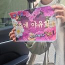 [국내/속초] 2025년 4월 11일~13일 - 1일~3일차