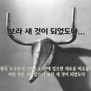 보라 새것이 되었도다(고린도후서 5:14-20) 이미지