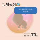 헬시몽 | [임신기록] 29-30주: 결혼 1주년, 만삭사진, 집들이