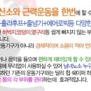 (힙업운동기구) 힙업운동/유산소운동/근력운동에 효과 - 힙쉐이퍼 이미지