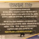 마라양꼬치 이미지