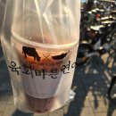 육회바른연어 여름시즌메뉴 빅컵물육회 후기