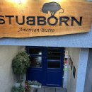 스터번(STUBBORN) 이미지