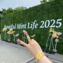 Beautiful Mint Life 2025 - 2025.06.15 / 순간을 꼭 잡아 우릴 놓치고 싶지 않아