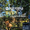 접도편의점식당 | [일상일기] 10월 마지막 일상 :: 클라이밍, 석촌호수, 단풍, 관악산등산