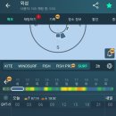 남형제도 Daum카페