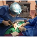 상동물병원 이미지