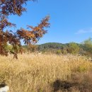 이천생태공원 이미지