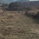 목사동면사무소 이미지