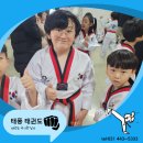 안양 태풍 태권도장 | 태권도 국기원 심사 대회 방문 후기