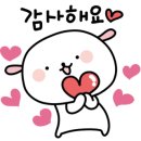 서애디자인