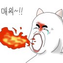 족보칼국수