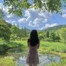 사진찍는 재미로 살았던 나의 사진첩 속 베스트 인생샷