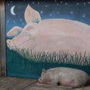 Pig 이미지