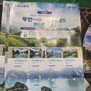 팔도관광여행사 이미지