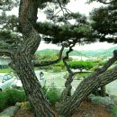 미산면사무소 이미지