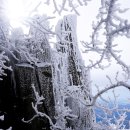 2/19(수) 광주 무등산 산호초상고대 산행 (100대명산) 이미지