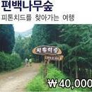 개미여행사