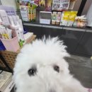 개린이 하우스 이미지