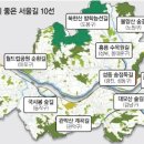 우장산공원길 이미지