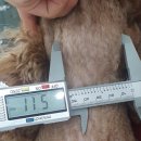 24시 청주이음동물의료센터 이미지