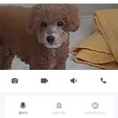 난신초 | 이런 더위 정도에 나는 흔들리지 않ㅅ....다!!