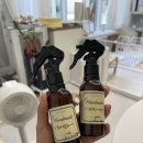 아르떼퍼피 이미지