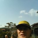 청춘을돌려다오