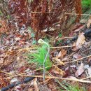 봉곡서로-3 이미지