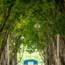 수원-1066 이미지