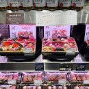 본레져 이미지