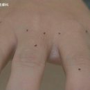 타이완몬스터