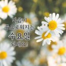 3월2일 고발뉴스 이미지