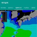 21세기프라자 | 영덕 살오징어 낚시 후기 강구항 인스타 피싱호