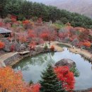 삼성궁 이미지