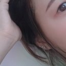 블리지유