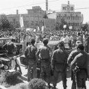 월드태권도 이미지