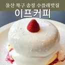 주흥17길 25 (6) | (울산) 울산 북구 카페추천 송정 수플레맛집 이프커피 아이랑 가기 좋은 카페 내돈내산 솔직후기