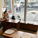 웨이프 | 영등포구청 애견 동반 브런치 카페 "웨이프 후기"