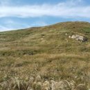 유원LG부동산공인중개사사무소 이미지