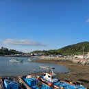 여수섬섬부동산중개사무소 | [전남 여수 토지 매매] 화정면 낭도 바다 보이는 토지 6 필지 3691평 (18억 4550만 원)