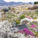 향토 농특산물 판매장 이미지